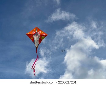 Kite Flying Blue Sky Photography