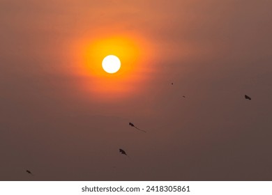 Kite is flying on the orange sunset sky 