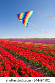 Kite flying over beautiful red tulips during day