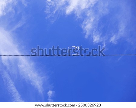 Similar – Image, Stock Photo On the line Harmonious