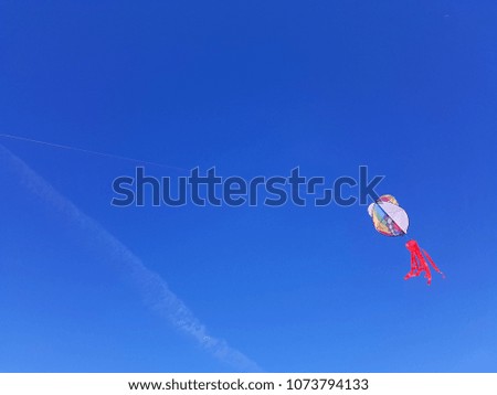 a kite toned with a retro vintage