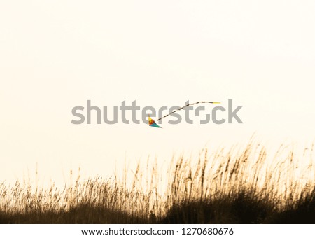 Similar – Flying rainbow kites coast