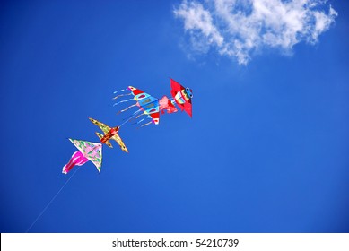 Kites On Blue Sky