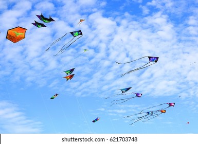 Kites In The Sky 