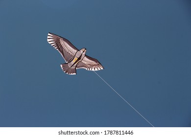 Kites Used For Chasing Flocks Of Birds, Flying Fake Bird.