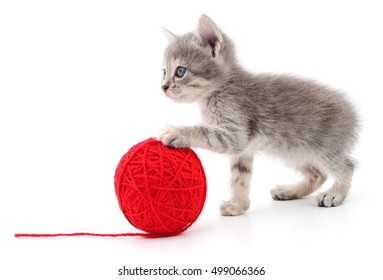 2,145 Cat playing string Stock Photos, Images & Photography | Shutterstock