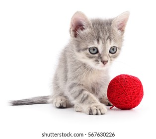 34,242 Cat Ball Stock Photos, Images & Photography | Shutterstock