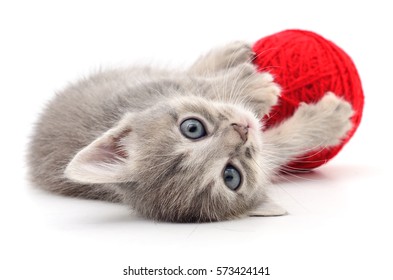 Kätzchen mit Ball aus Garnen einzeln auf weißem Hintergrund.