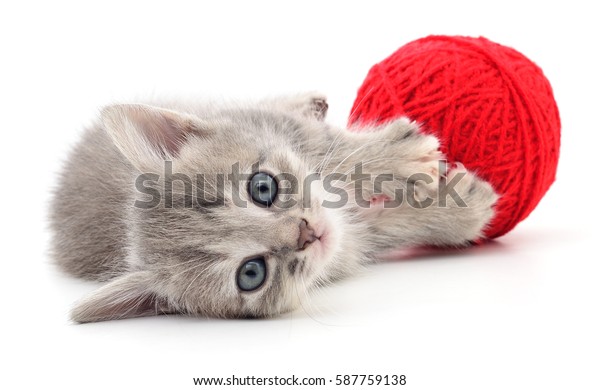 kitten ball of yarn