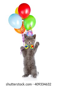 Funny Cats Petard Birthday Cake They Stock Photo 687417400 | Shutterstock