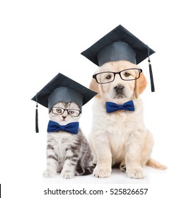 Kitten and Golden retriever puppy with black graduation hats and eyeglasses sitting together. isolated on white background