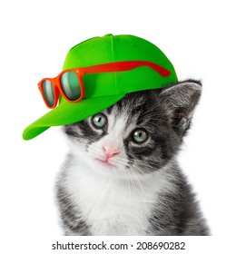 cat with a cap