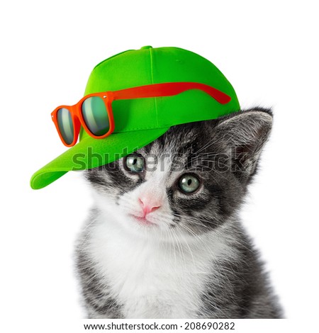kitten-green-cap-on-white-450w-208690282