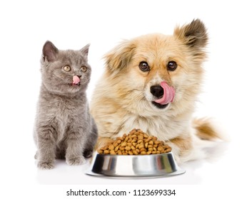 Kitten And Licking Lips Hungry Dog Sitting With Bowl Of Dry Food. Isolated On White Background