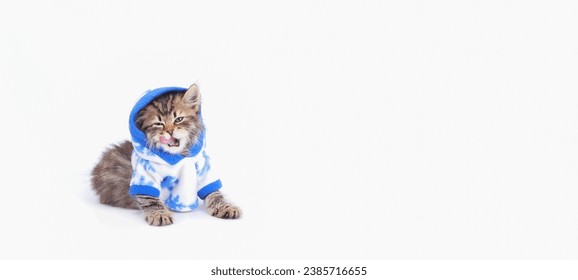 Kitten licks its lips. Lovely tiny kitten. Beautiful web banner with copy space. Kitten wearing white blue hooded sweater on a white background. Adorable pets. Cat clothes. Pet Supplies. Hungry cat