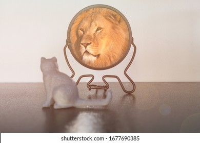 Kitten looks in the mirror and sees himself reflected like a lion. Self-confidence concept. Business or personal growth. - Shutterstock ID 1677690385