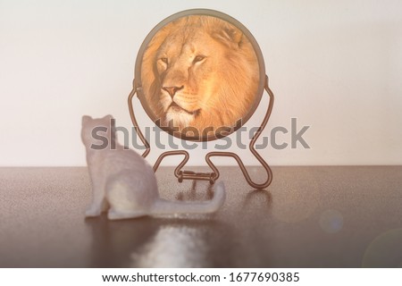 Kitten looks in the mirror and sees himself reflected like a lion. Self-confidence concept. Business or personal growth.