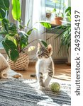 Kitten Playing with Ball in Sunlit Room
A cute kitten playing with a green ball in a sunlit room, surrounded by lush indoor plants and cozy decor.