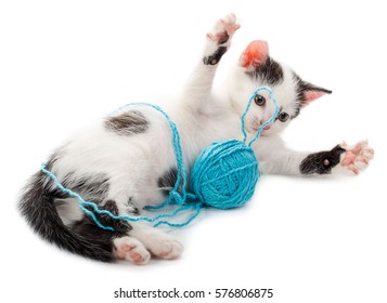 cat yarn ball