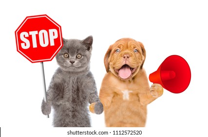 Kitten With Sign Stop And Puppy With A Megaphone. Isolated On White Background