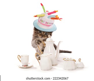 1,867 Cat tea party Images, Stock Photos & Vectors | Shutterstock