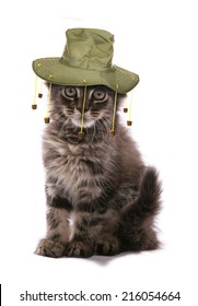 Kitten Wearing Australian Cork Hat Studio Cutout