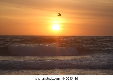 At Kitty Hawk, NC 6