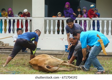 Kiulu Sabah Malaysia Sep 24 2015 Stock Photo 671704192 | Shutterstock