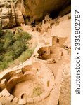 Kivas at Cliff Palace, Mesa Verde, CO.