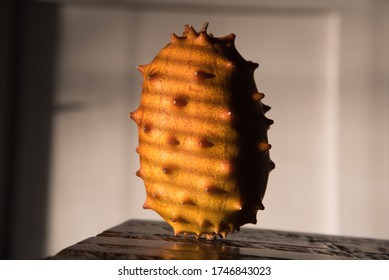 Kiwano (Horned Melon): Cucumis metuliferus, in dramatic light. - Shutterstock ID 1746843023