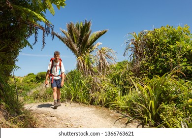 Kiwi tramper hiking coastal section of Heaphy Track, Kahurangi National Park, New Zealand - Powered by Shutterstock