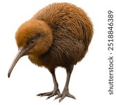 The kiwi is a unique and distinctive bird native to New Zealand, known for its peculiar appearance and behaviors. 