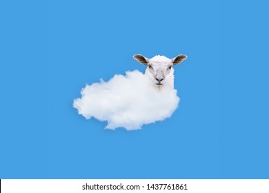 Kiwiana Sheep Cloud Blue Background