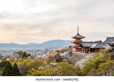 Kiyomizu Dera Temple In Spring