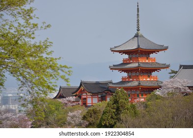 清水寺 の画像 写真素材 ベクター画像 Shutterstock