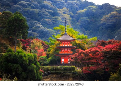 Kiyomizu-dera in autumn season,The leave change color of red castle in japan