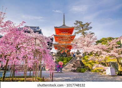 Kiyomizu-dera Temple and cherry blossom season (Sakura) spring time in Kyoto, Japan - Shutterstock ID 1017748132