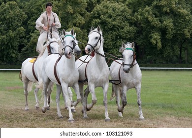 KLADRUBY NAD LABEM, CZECH REPUBLIC - JUNE 28: Man On A Horse Shows An Example Of Traditional Hungarian Horsemanship At Show On June 28, 2008 In Kladruby Nad Labem, Czech Republic