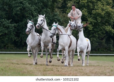 KLADRUBY NAD LABEM, CZECH REPUBLIC - JUNE 28: Man On A Horse Shows An Example Of Traditional Hungarian Horsemanship At Show On June 28, 2008 In Kladruby Nad Labem, Czech Republic