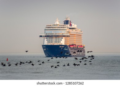 Imágenes Fotos De Stock Y Vectores Sobre Schiff Shutterstock