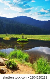 Kleiner Arbersee lake in the National park Bayerische Wald, Bavaria, Germany. - Shutterstock ID 2204230211