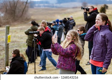 Kleinfeltersville, PA, USA - March 6, 2016:  Birdwatchers photograph the migrating snow geese at Middle Creek Wildlife Management Area near the Lancaster-Lebanon county line in Pennsylvania.