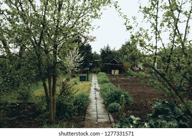 Kleingarten Allotment Quedlinburg