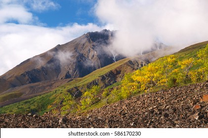 Kluane National Park, Yukon, Canada