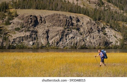 Kluane National Park, Yukon, Canada