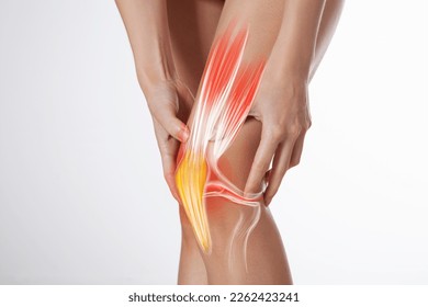 Knee ligament and meniscus, human leg, medically accurate representation of an arthritic knee joint - Shutterstock ID 2262423241