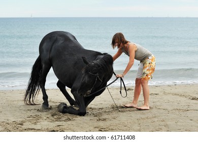 kneeling black stallion on the beach with young woman