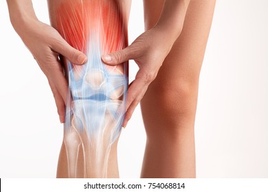Knees pain, hands touch the painful point. - Shutterstock ID 754068814