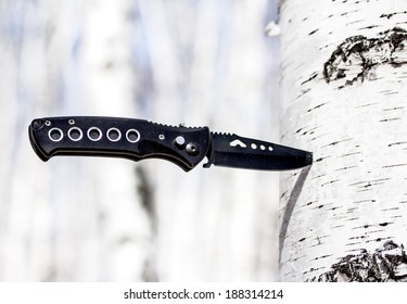 knife stuck in a tree