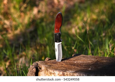 Knife in a stump
